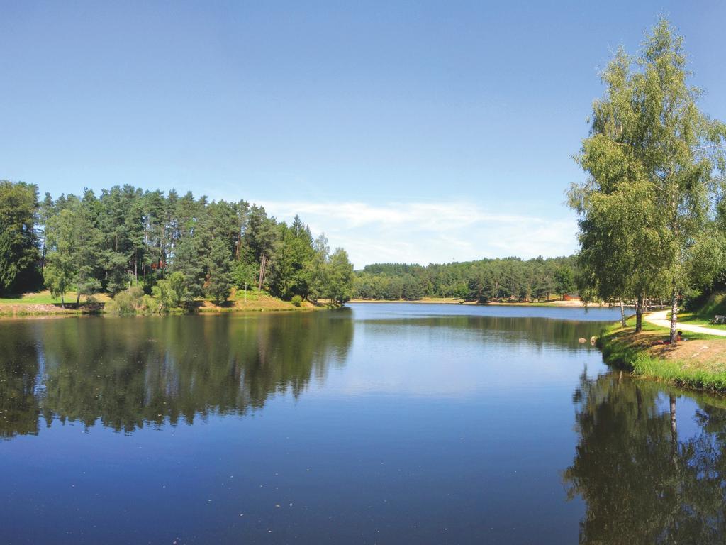 Vacanceole - Residence Le Domaine Du Bosquet Égletons Eksteriør bilde